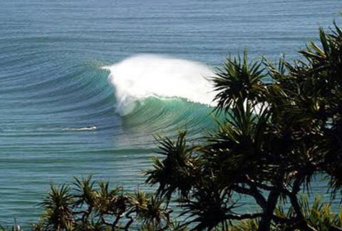 Cabarita Studio - Accommodation NSW 0