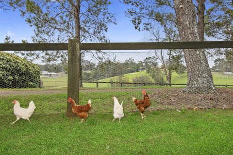 TINY HOME......BIG Views - Accommodation NSW 6