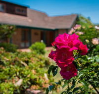 11 Bay Street waterfront holiday - Accommodation NSW
