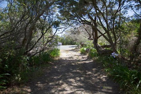Dreamlands - Accommodation NSW 5