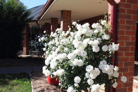 Gundaroo Manor Bed & Breakfast - Accommodation NSW 1
