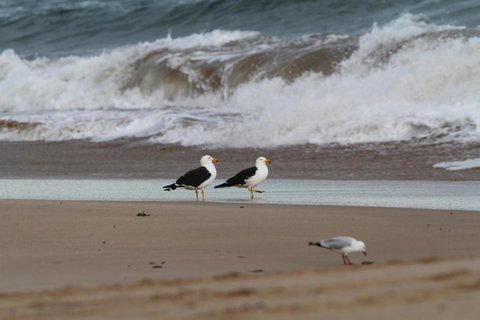 LOCKINGTON - Accommodation NSW 6