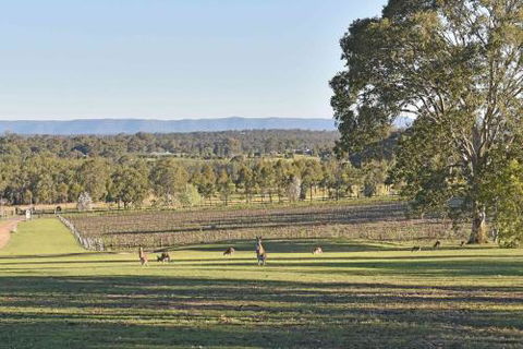 Sandalyn Estate Hunter Valley - Accommodation NSW 3