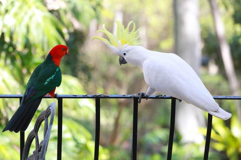 Palm Beach Bed & Breakfast - Accommodation NSW 4