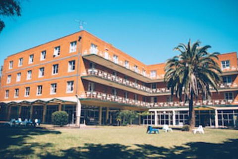 Greenwich Village Accommodation Hostel - Accommodation NSW 0