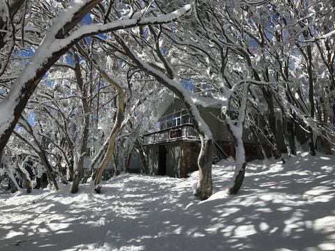 Amber Lodge Mt Buller - Hostel - Accommodation NSW 2