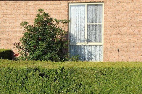 Motel 359 - Accommodation NSW 1