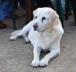 Nazaaray Beach House - Accommodation NSW