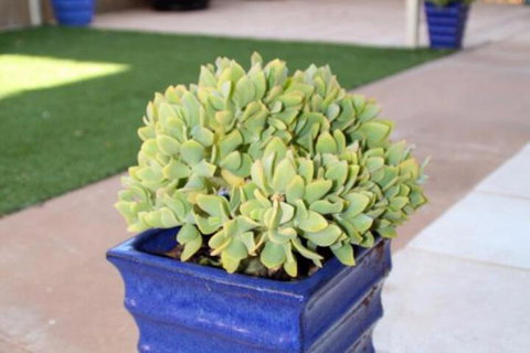 Sunset Retreat - Accommodation NSW 3