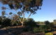 Murray Bridge Motor Inn - thumb 1