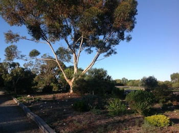 Murray Bridge Motor Inn - Accommodation NSW 1