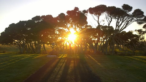 Low Head Tourist Park - Caravan Park - Accommodation NSW 1