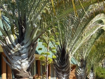Somerville WA Accommodation NSW