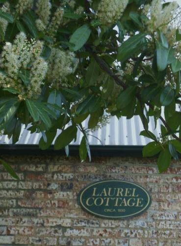 Laurel Cottage - Accommodation NSW 1