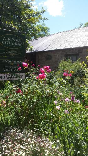 Laurel Cottage - Accommodation NSW 5