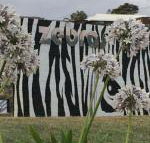 Zebras Guest House - Accommodation NSW