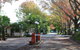 Lani's Holiday Island - Caravan Park - thumb 1