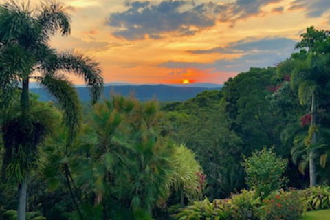 Daintree Manor Bed & Breakfast - Accommodation NSW 0