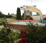 Big Trout Motel - Accommodation NSW