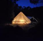 Glamping at Zeehan Bush Camp - Accommodation NSW