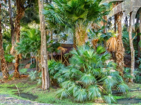Araluen - Accommodation NSW 6