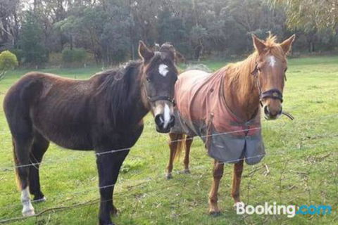 Heritage Bed & Breakfast - Accommodation NSW 3