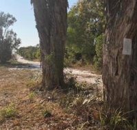COONARR BEACH  BUNDABERG CAMPING - Accommodation NSW