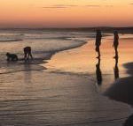 Cromarty Cottage 900m from Birubi Beach - Accommodation NSW