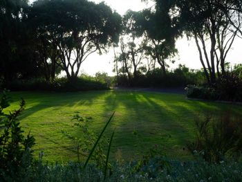 Oceanside Retreat Busselton - Accommodation NSW 2