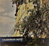 Caledonian Hotel - Accommodation NSW