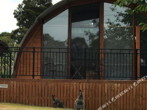 Bruny Island Accommodation 43 Degrees Beachside Studio Spa Apartments (1) - Accommodation NSW 1