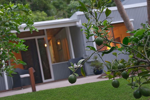 Gecko Shed - Accommodation NSW 6