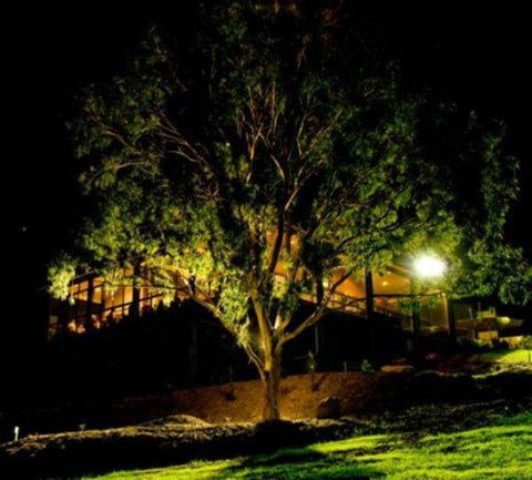 Oceanview Estate Vineyard Cottages - Accommodation NSW 4