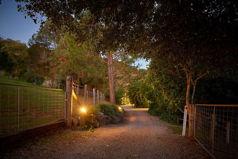 Dayboro Cottages & Llama Walks - Accommodation NSW 1