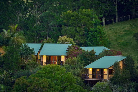 Dayboro Cottages & Llama Walks - Accommodation NSW 3