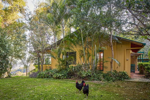 Dayboro Cottages & Llama Walks - Accommodation NSW 6