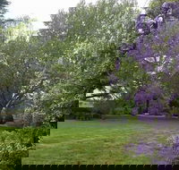 Petersons Armidale Winery  Guesthouse - Accommodation NSW