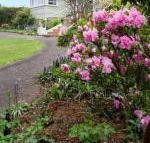 Anabels of Scottsdale - Accommodation NSW