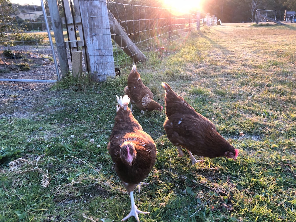 Moruya NSW Accommodation NSW