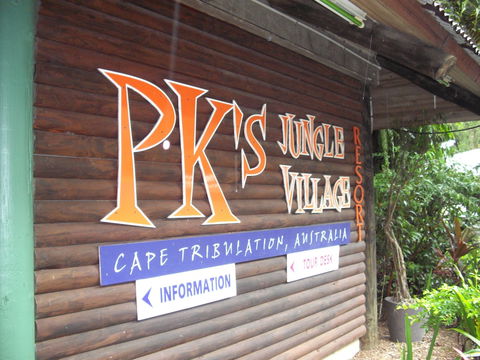 PKs Jungle Village - Hostel - Accommodation NSW 0