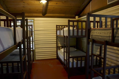 PKs Jungle Village - Hostel - Accommodation NSW 6