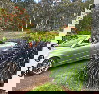 Valley Farm Vineyard Cottages - Accommodation NSW