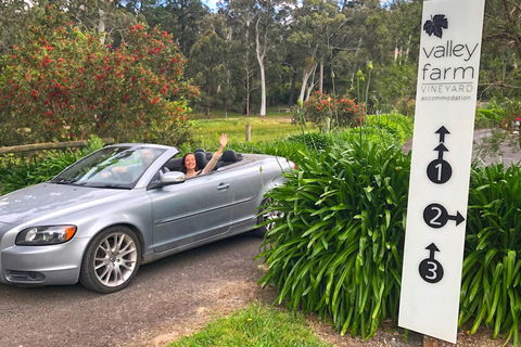Valley Farm Vineyard Cottages - Accommodation NSW 0