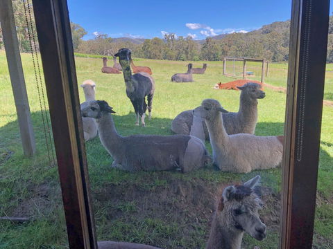 Valley Farm Vineyard Cottages - Accommodation NSW 2