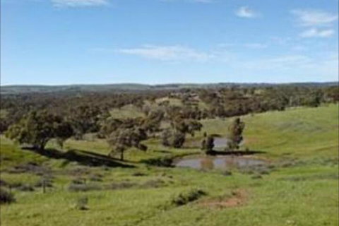 Clare View Accommodation - Accommodation NSW 6