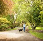 Johanna River Farm  Cottages - Accommodation NSW