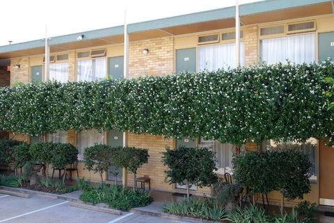 Mid City Motor Inn - Accommodation NSW 2