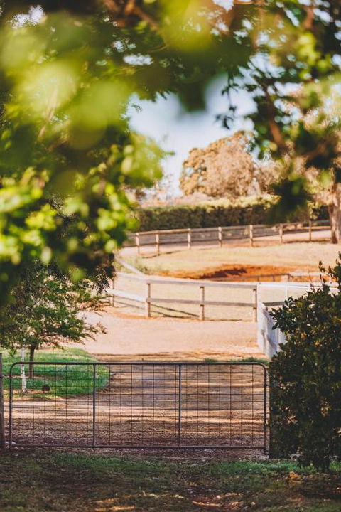 Dalblair Bed & Breakfast - Accommodation NSW 1