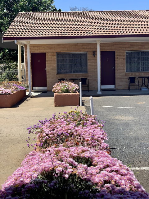 Gilgandra Motel - Accommodation NSW 6