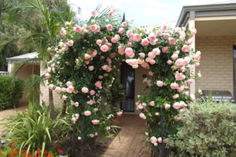 Baudins Of Busselton B & B - Accommodation NSW 3